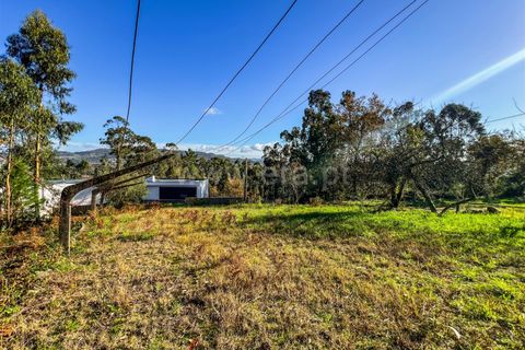 Helårsgrund i Barcelos, Braga, Barcelos - € 64.000 | Ref: 254260503 - foto 12