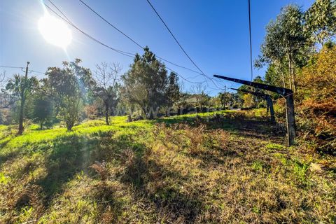 Helårsgrund i Barcelos, Braga, Barcelos - € 64.000 | Ref: 254260503 - foto 17