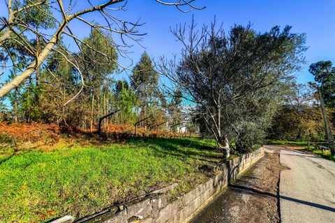 Helårsgrund i Barcelos, Braga, Barcelos - € 64.000 | Ref: 254260503 - foto 18