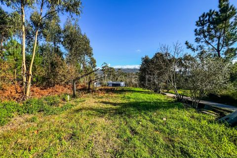 Helårsgrund i Barcelos, Braga, Barcelos - € 64.000 | Ref: 254260503 - foto 20