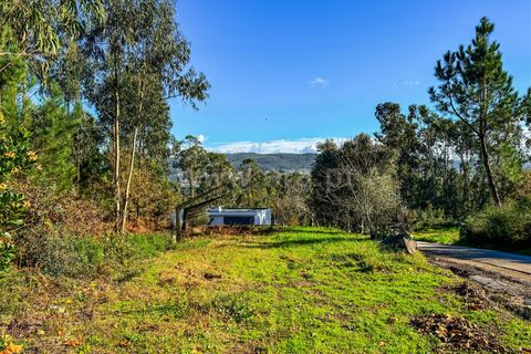 Helårsgrund i Barcelos, Braga, Barcelos - € 64.000 | Ref: 254260503 - foto 22