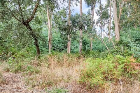 Helårsgrund i Barcelos, Braga, Barcelos - € 110.000 | Ref: 254260471 - foto 3