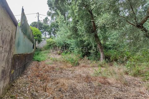 Helårsgrund i Barcelos, Braga, Barcelos - € 110.000 | Ref: 254260471 - foto 5