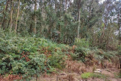 Helårsgrund i Barcelos, Braga, Barcelos - € 110.000 | Ref: 254260471 - foto 6