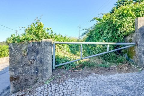 Helårsgrund i Barcelos, Braga, Barcelos - € 250.000 | Ref: 254260456 - foto 2