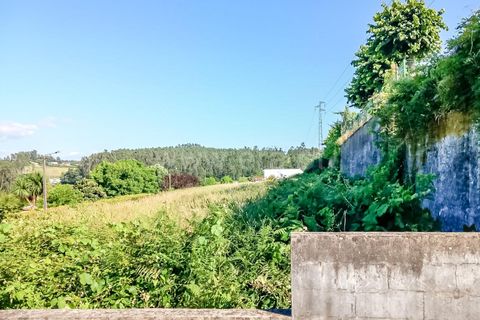 Helårsgrund i Barcelos, Braga, Barcelos - € 250.000 | Ref: 254260456 - foto 3