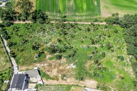 Helårsgrund i Barcelos, Braga, Barcelos - € 360.000 | Ref: 254260588 - foto 4