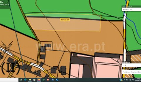 Helårsgrund i Barcelos, Braga, Barcelos - € 360.000 | Ref: 254260588 - foto 5