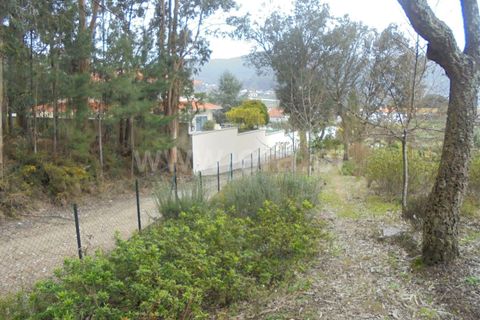 Helårsgrund i Barcelos, Braga, Barcelos - € 97.000 | Ref: 254260237 - foto 4