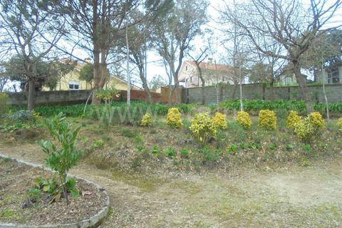Helårsgrund i Barcelos, Braga, Barcelos - € 97.000 | Ref: 254260237 - foto 5
