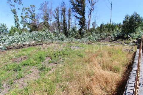 Helårsgrund i Barcelos, Braga, Barcelos - € 110.000 | Ref: 254260244 - foto 6