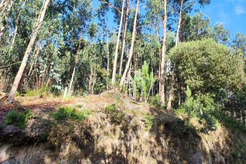 Helårsgrund i Barcelos, Braga, Barcelos - € 62.500 | Ref: 254260256 - foto 3