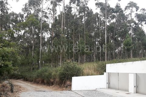 Helårsgrund i Barcelos, Braga, Barcelos - € 105.000 | Ref: 254260398 - foto 3