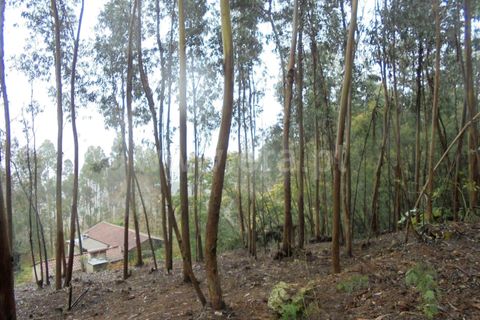 Helårsgrund i Barcelos, Braga, Barcelos - € 95.000 | Ref: 254260236 - foto 3