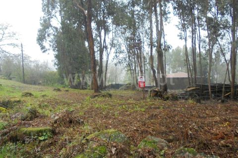 Helårsgrund i Barcelos, Braga, Barcelos - € 95.000 | Ref: 254260236 - foto 4
