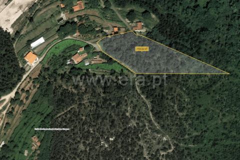 Helårsgrund i Barcelos, Braga, Barcelos - € 95.000 | Ref: 254260236 - foto 5