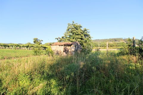 Byhus i Barcelos, Braga, Barcelos - € 108.000 | Ref: 254260310 - foto 6