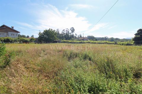 Helårsgrund i Barcelos, Braga, Barcelos - € 68.000 | Ref: 254260320 - foto 7
