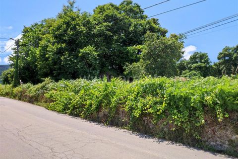 Helårsgrund i Barcelos, Braga, Barcelos - € 160.000 | Ref: 254260257 - foto 4