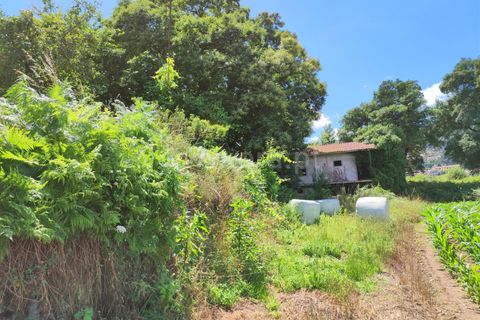 Helårsgrund i Barcelos, Braga, Barcelos - € 160.000 | Ref: 254260257 - foto 5
