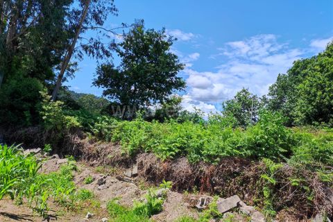 Helårsgrund i Barcelos, Braga, Barcelos - € 160.000 | Ref: 254260257 - foto 6