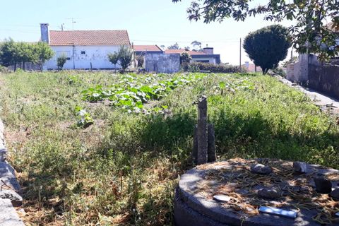 Helårsgrund i Barcelos, Braga, Barcelos - € 63.000 | Ref: 254260311 - foto 4