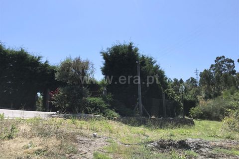 Helårsgrund i Barcelos, Braga, Barcelos - € 42.500 | Ref: 254260399 - foto 4