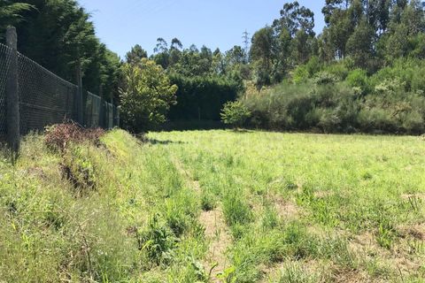 Helårsgrund i Barcelos, Braga, Barcelos - € 42.500 | Ref: 254260399 - foto 5