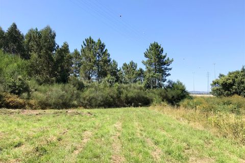 Helårsgrund i Barcelos, Braga, Barcelos - € 42.500 | Ref: 254260399 - foto 6