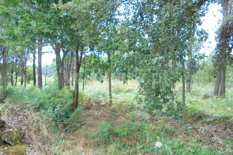 Helårsgrund i Barcelos, Braga, Barcelos - € 330.000 | Ref: 254260234 - foto 2