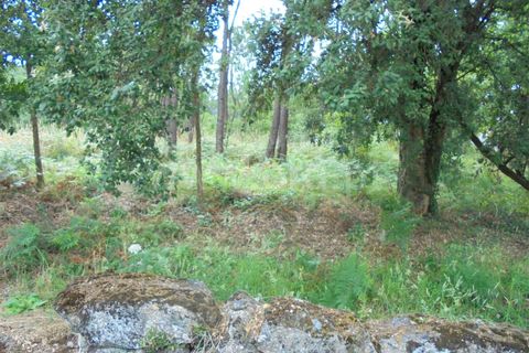 Helårsgrund i Barcelos, Braga, Barcelos - € 330.000 | Ref: 254260234 - foto 3