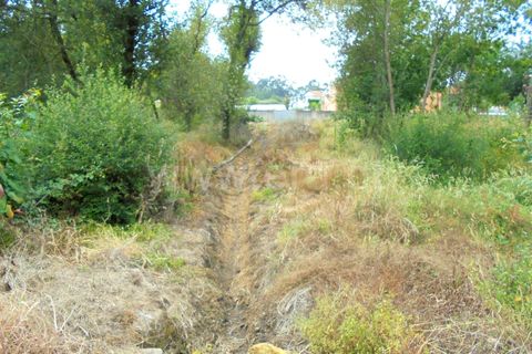 Helårsgrund i Barcelos, Braga, Barcelos - € 330.000 | Ref: 254260234 - foto 5