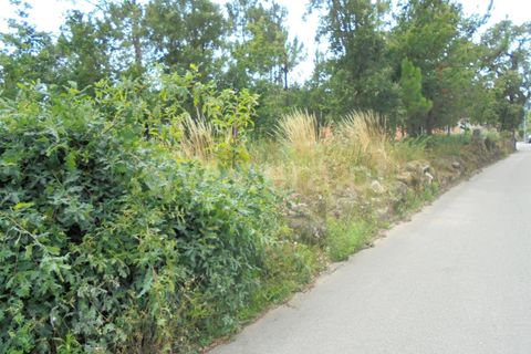Helårsgrund i Barcelos, Braga, Barcelos - € 330.000 | Ref: 254260234 - foto 6