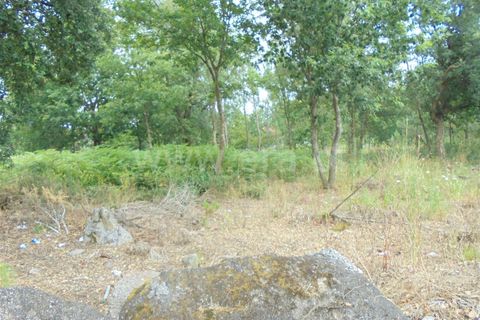 Helårsgrund i Barcelos, Braga, Barcelos - € 330.000 | Ref: 254260234 - foto 8