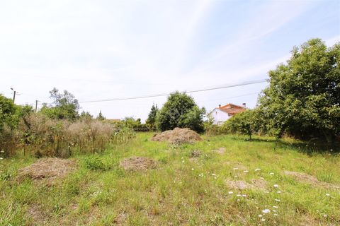 Villa i Barcelos, Braga, Barcelos - € 350.000 | Ref: 254260599 - foto 16