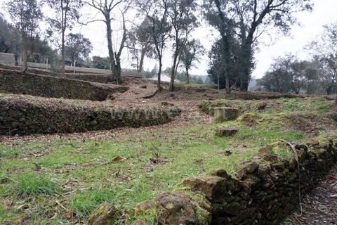 Helårsgrund i Barcelos, Braga, Barcelos - € 97.500 | Ref: 254260253 - foto 3