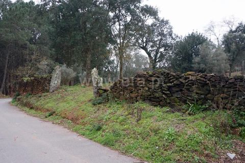 Helårsgrund i Barcelos, Braga, Barcelos - € 97.500 | Ref: 254260253 - foto 5