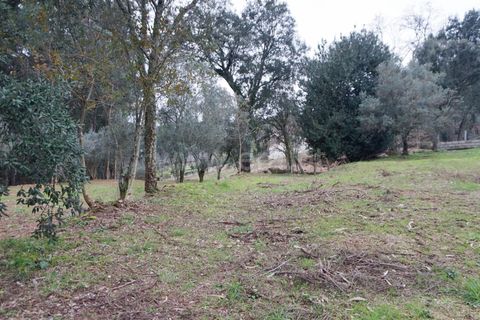 Helårsgrund i Barcelos, Braga, Barcelos - € 97.500 | Ref: 254260253 - foto 7
