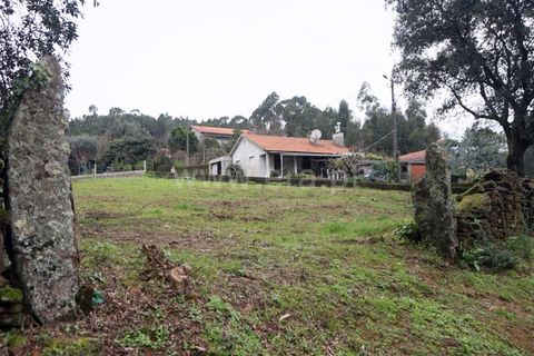 Helårsgrund i Barcelos, Braga, Barcelos - € 97.500 | Ref: 254260253 - foto 8