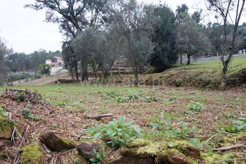 Helårsgrund i Barcelos, Braga, Barcelos - € 97.500 | Ref: 254260253 - foto 9