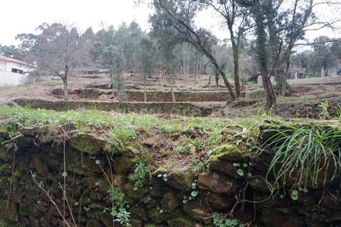 Helårsgrund i Barcelos, Braga, Barcelos - € 97.500 | Ref: 254260253 - foto 10