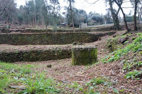 Helårsgrund i Barcelos, Braga, Barcelos - € 97.500 | Ref: 254260253 - foto 11