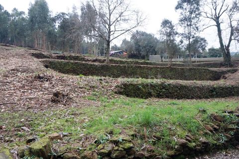 Helårsgrund i Barcelos, Braga, Barcelos - € 97.500 | Ref: 254260253 - foto 12