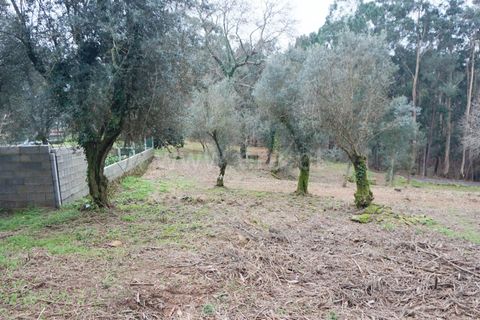 Helårsgrund i Barcelos, Braga, Barcelos - € 97.500 | Ref: 254260253 - foto 13