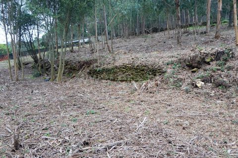 Helårsgrund i Barcelos, Braga, Barcelos - € 97.500 | Ref: 254260253 - foto 14