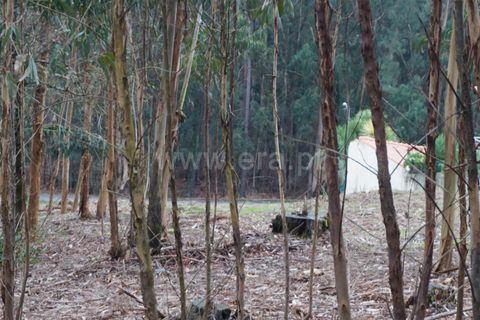 Helårsgrund i Barcelos, Braga, Barcelos - € 97.500 | Ref: 254260253 - foto 16