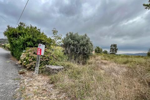 Helårsgrund i Barcelos, Braga, Barcelos - € 67.500 | Ref: 254260566 - foto 8