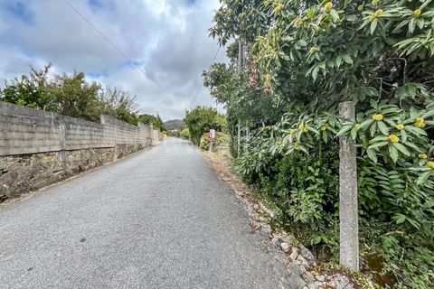 Helårsgrund i Barcelos, Braga, Barcelos - € 67.500 | Ref: 254260566 - foto 11