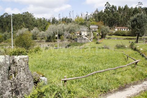 Helårsgrund i Barcelos, Braga, Barcelos - € 33.000 | Ref: 254260390 - foto 4