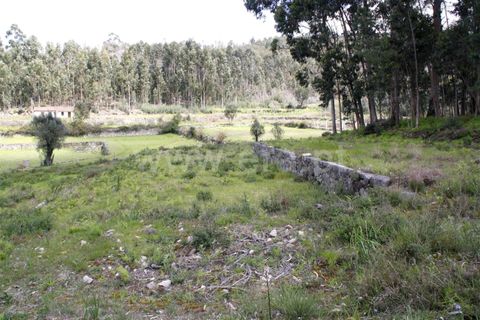 Helårsgrund i Barcelos, Braga, Barcelos - € 33.000 | Ref: 254260390 - foto 6